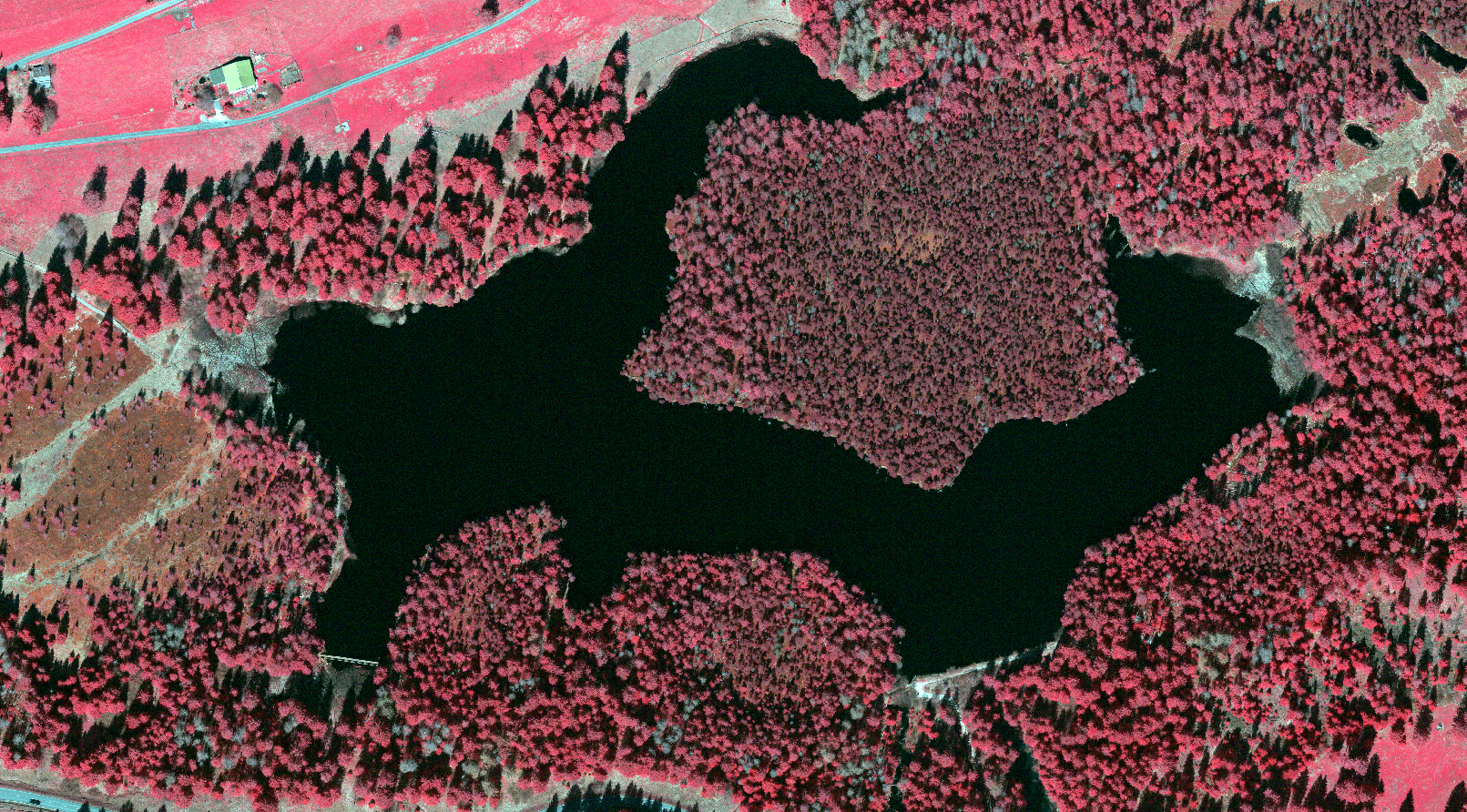 L'image montre une vue aérienne infrarouge de l'étang de la Gruère (JU).