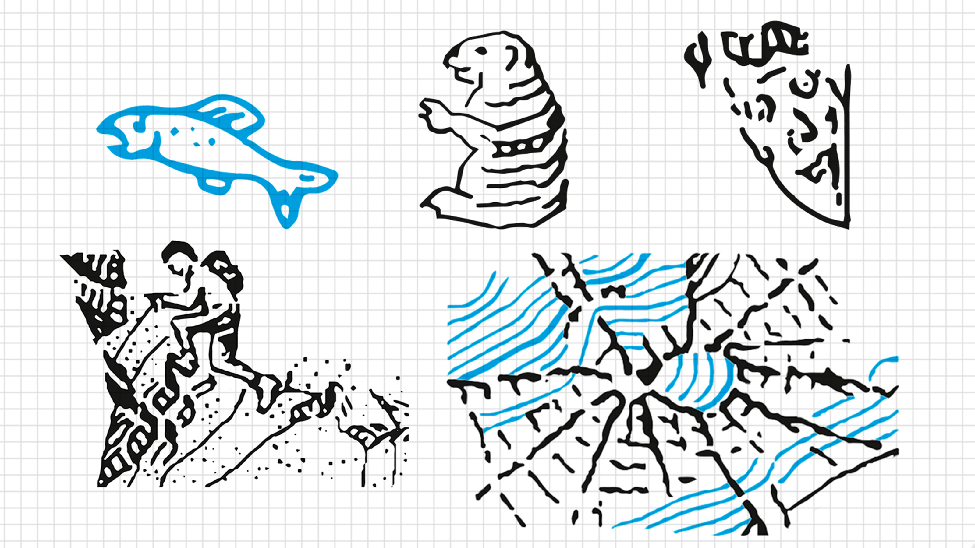 Fünf Zeichnungen, die in die Landeskarten hineingeschmuggelt wurden: Ein Fisch, ein Murmeltier, ein Gesicht, ein Bergsteiger und eine Spinne.