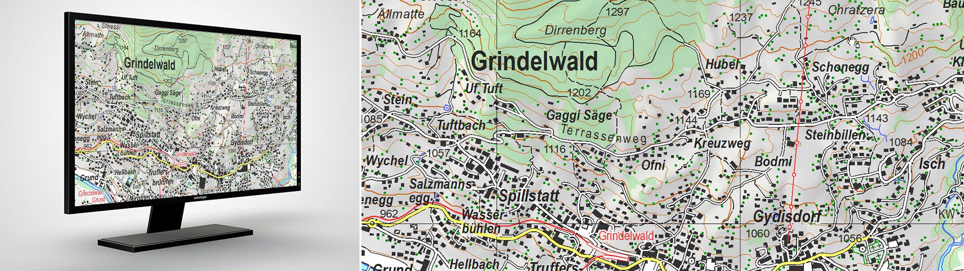 Swiss Map Vector 25: carta geografica vettoriale della Svizzera 1:25 000