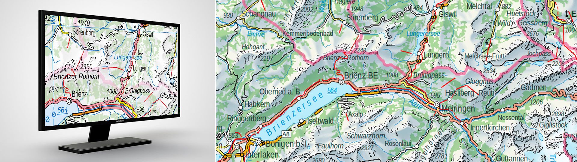 Swiss Map Vector 500: carta geografica vettoriale della Svizzera 1:500 000