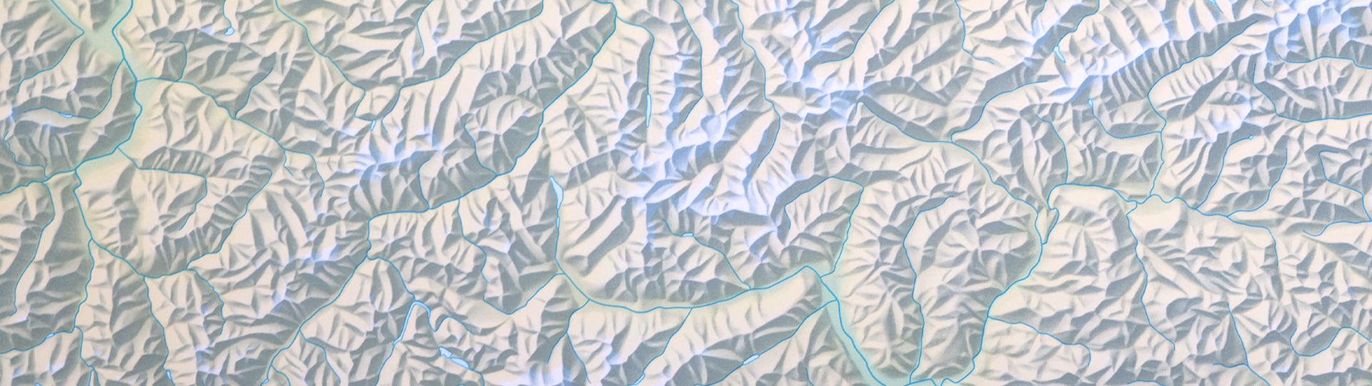 Relief Map of the Alps