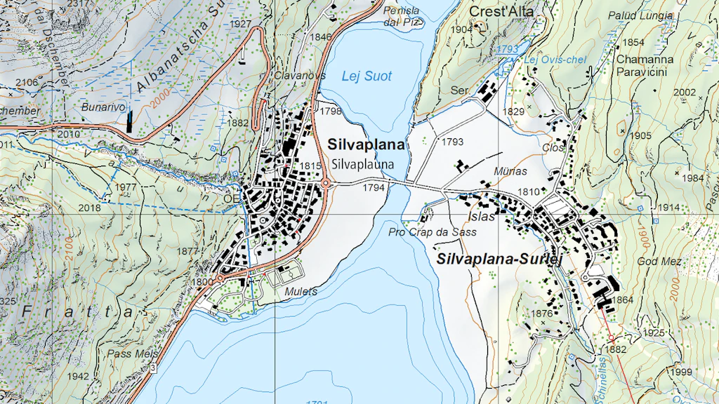 Ausschnitt aus Swiss Map Vector 25, Silvaplana