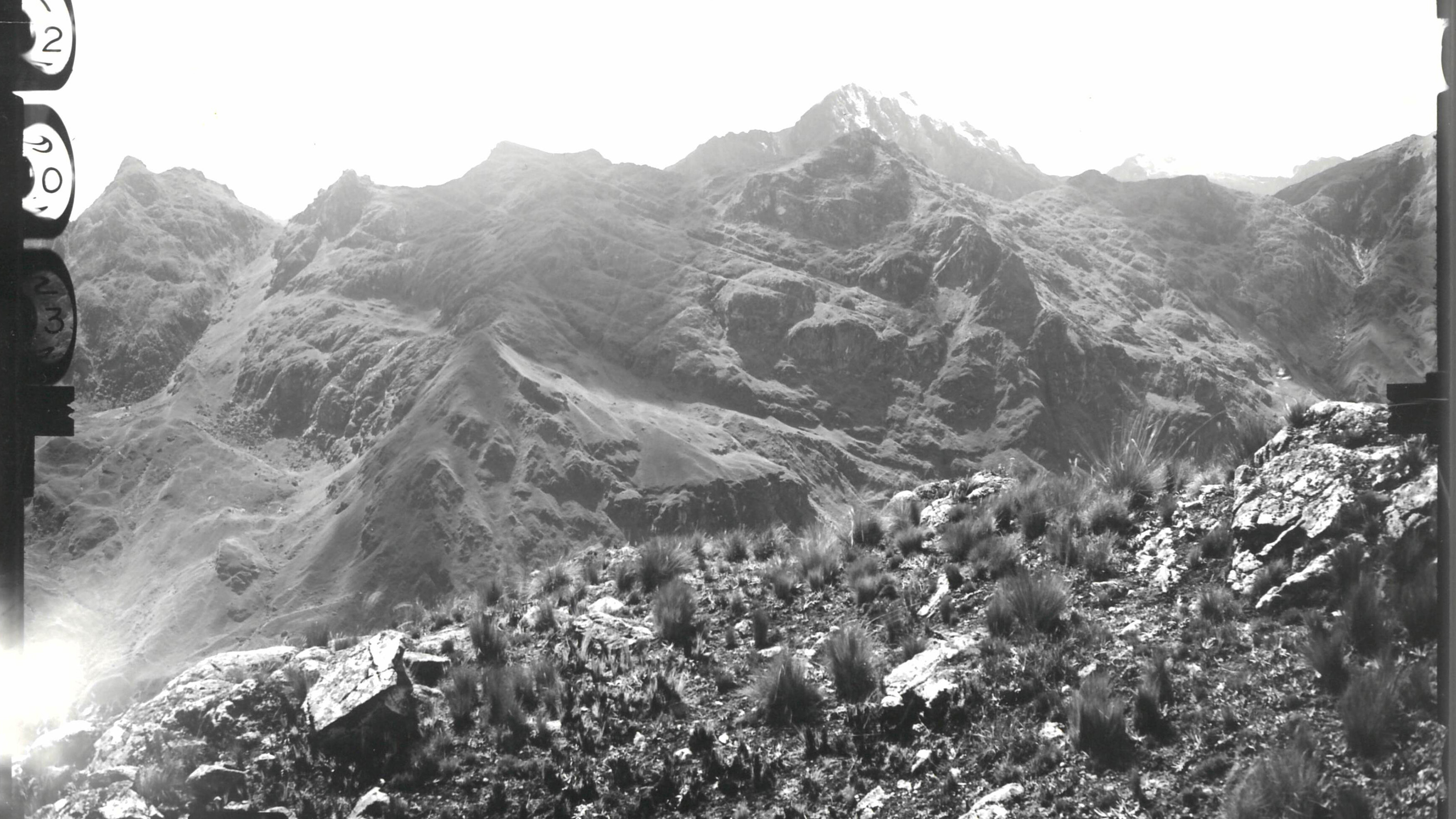 Terrestrische Aufnahme aus der Panta-Region in Peru. Wiese mit Andengewächsen im Vordergrund, Berge im Hintergrund.