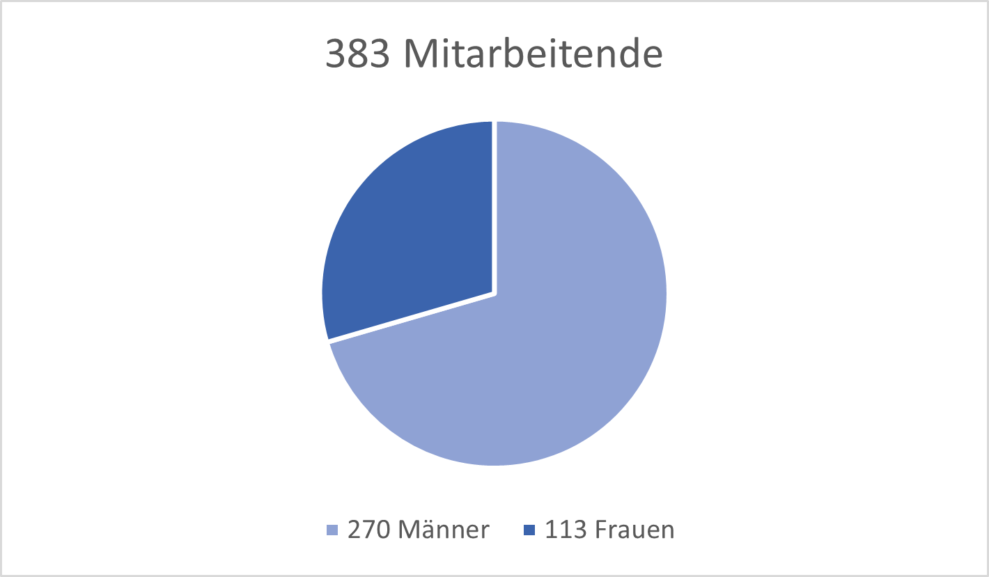 Im Jahr 2023 arbeiten 383 Personen bei swisstopo, davon 270 Männer und 113 Frauen.