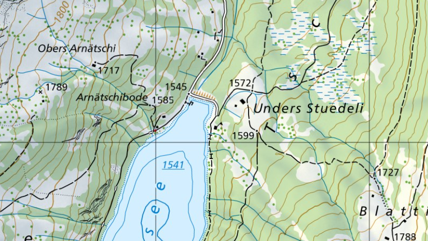Kartenausschnitt Arnesee Saanenland