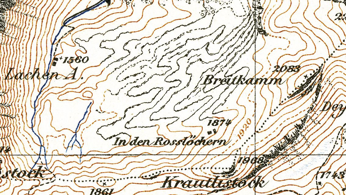 Karrenfeld Lachenalp 