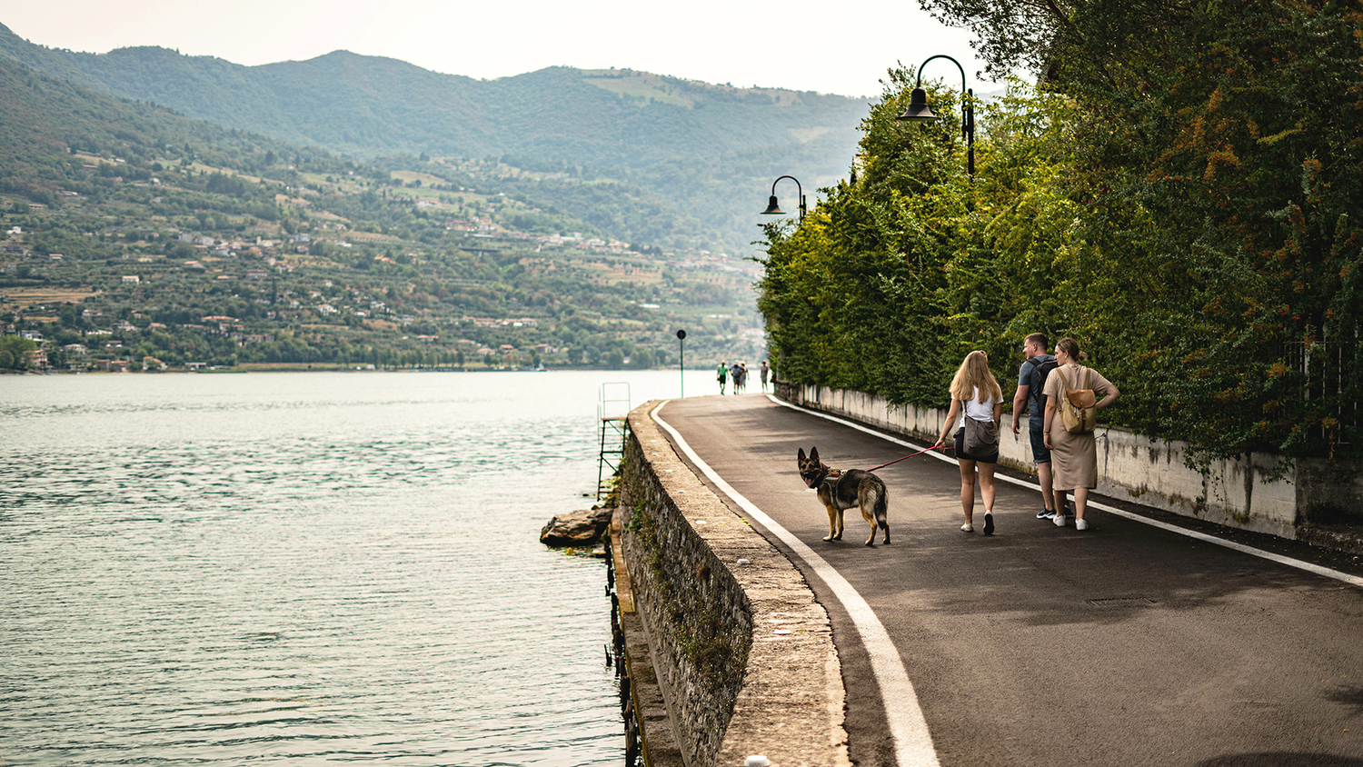 spaziergang mit Hund am Wasser