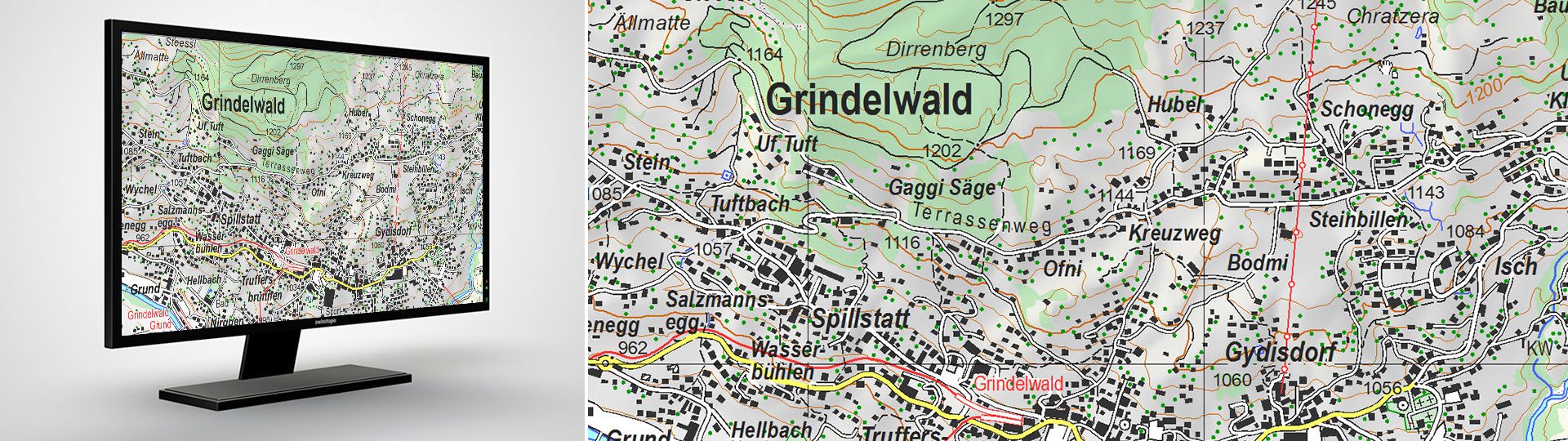 Swiss Map Vector 25: Vektorielle Landeskarte der Schweiz 1:25 000