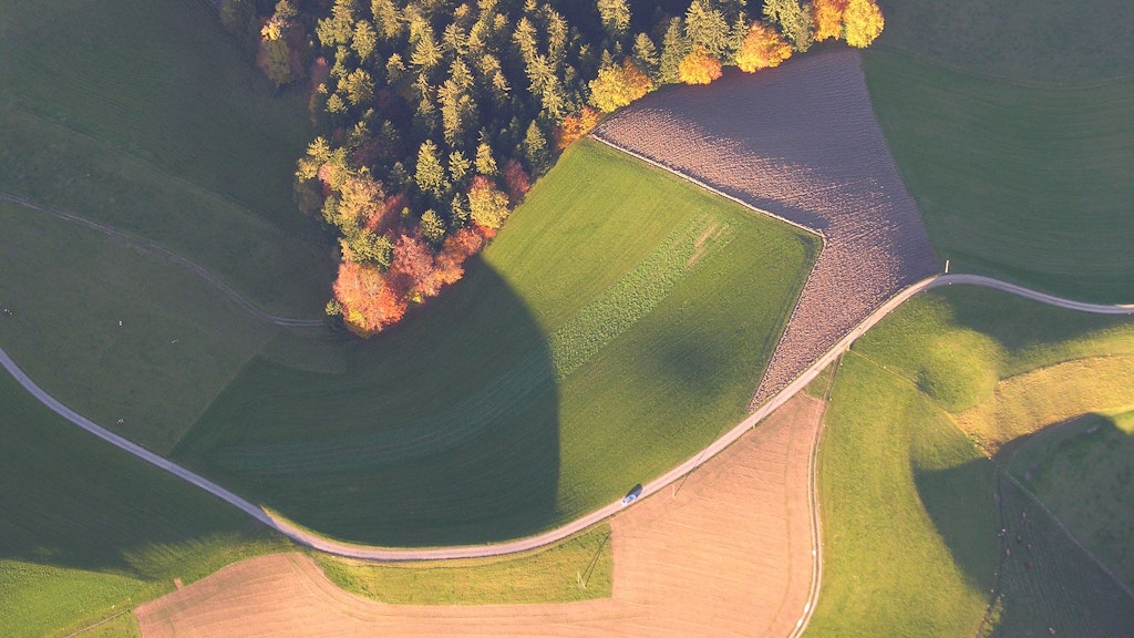 Luftaufnahme herbstlicher Wald und Felder in warmem Licht