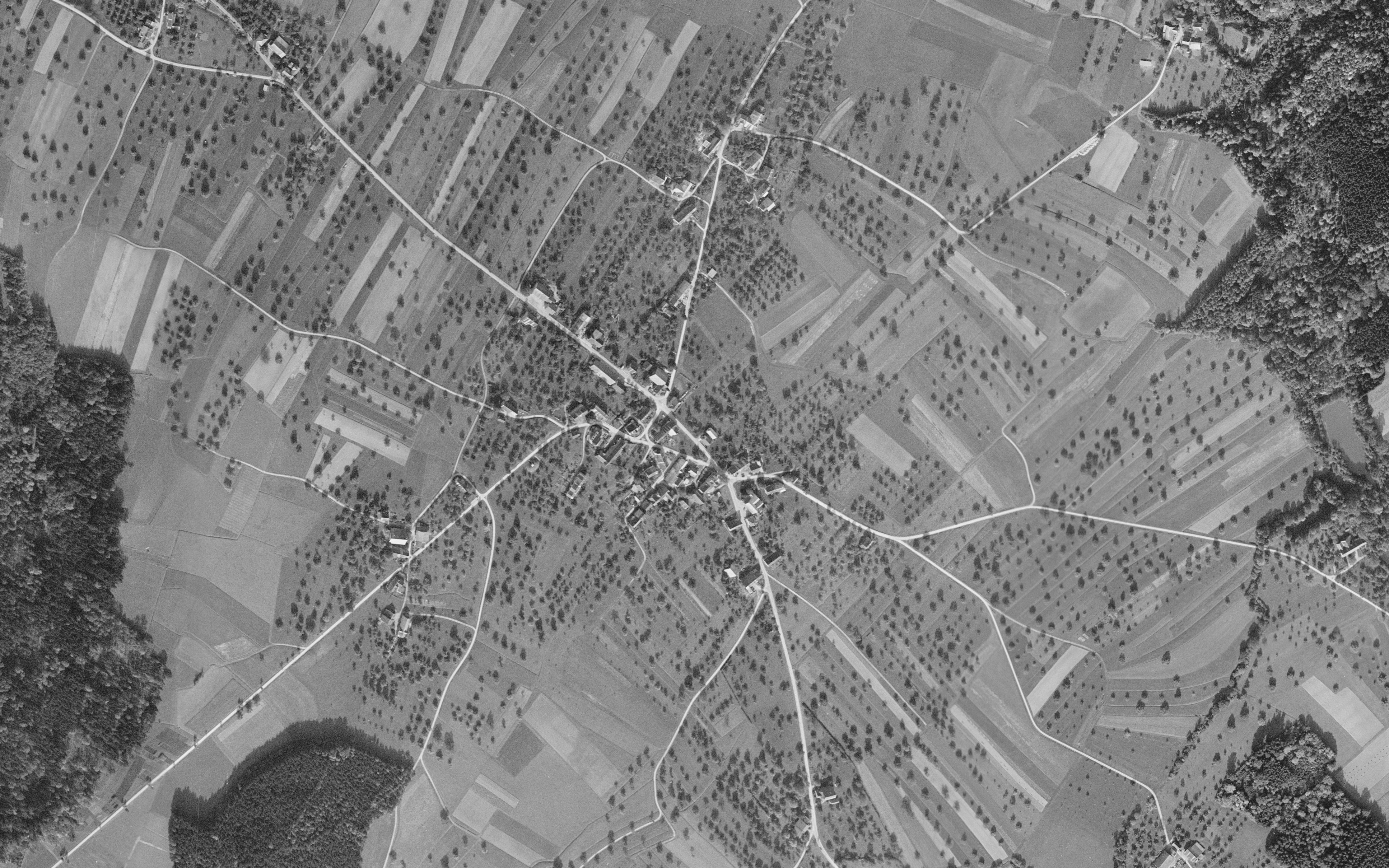 Luftbild des Thurgauer Dorfs Illighausen im Jahr 1953. Das Dorf ist von Obstbäumen, die in den Feldern stehen, umgeben.