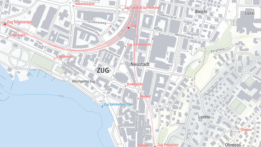 Ausschnitt aus der digitalen Landeskarte Ligth Base Map