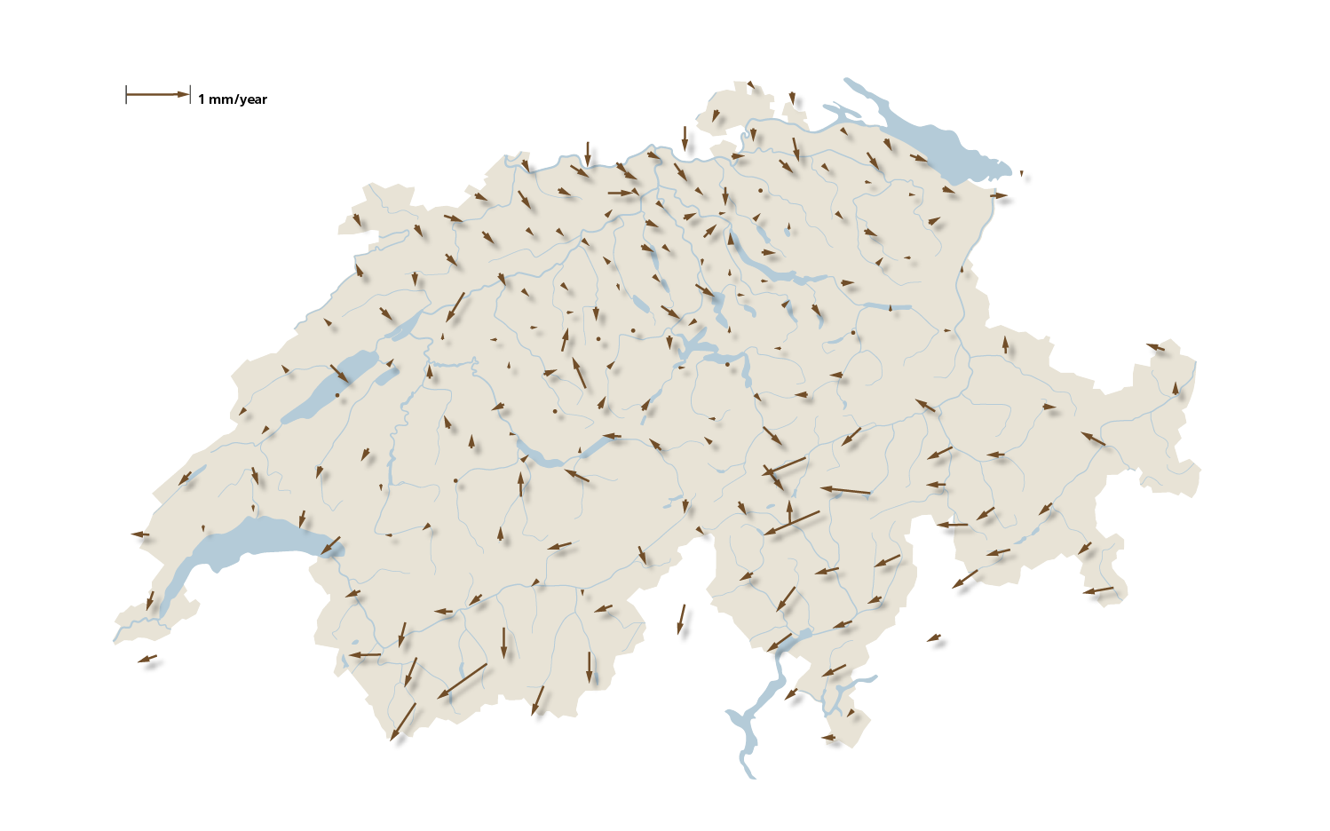Longer arrows indicate more rapid movement.
