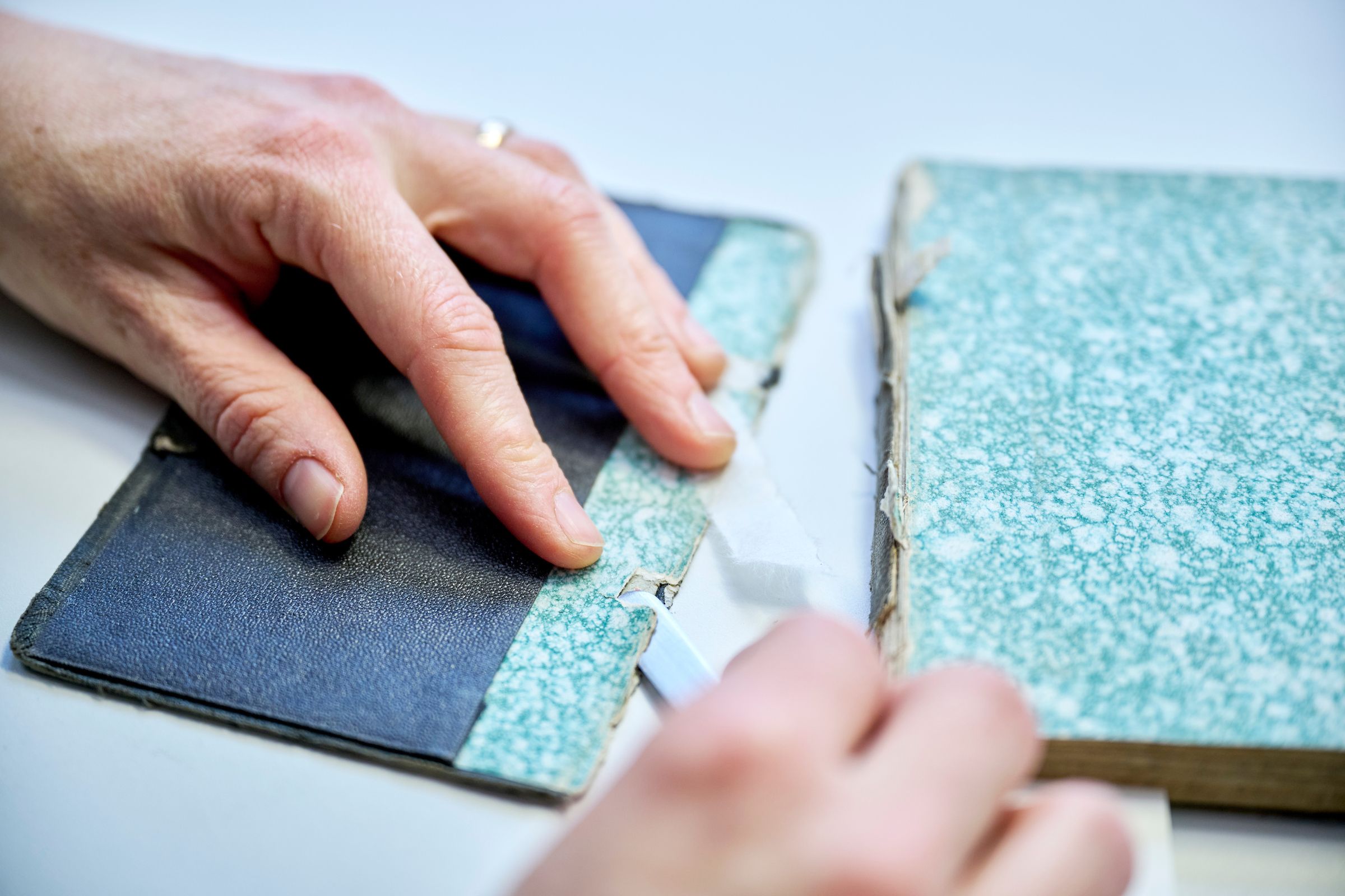 Lea Dauwalder restoring a field booklet