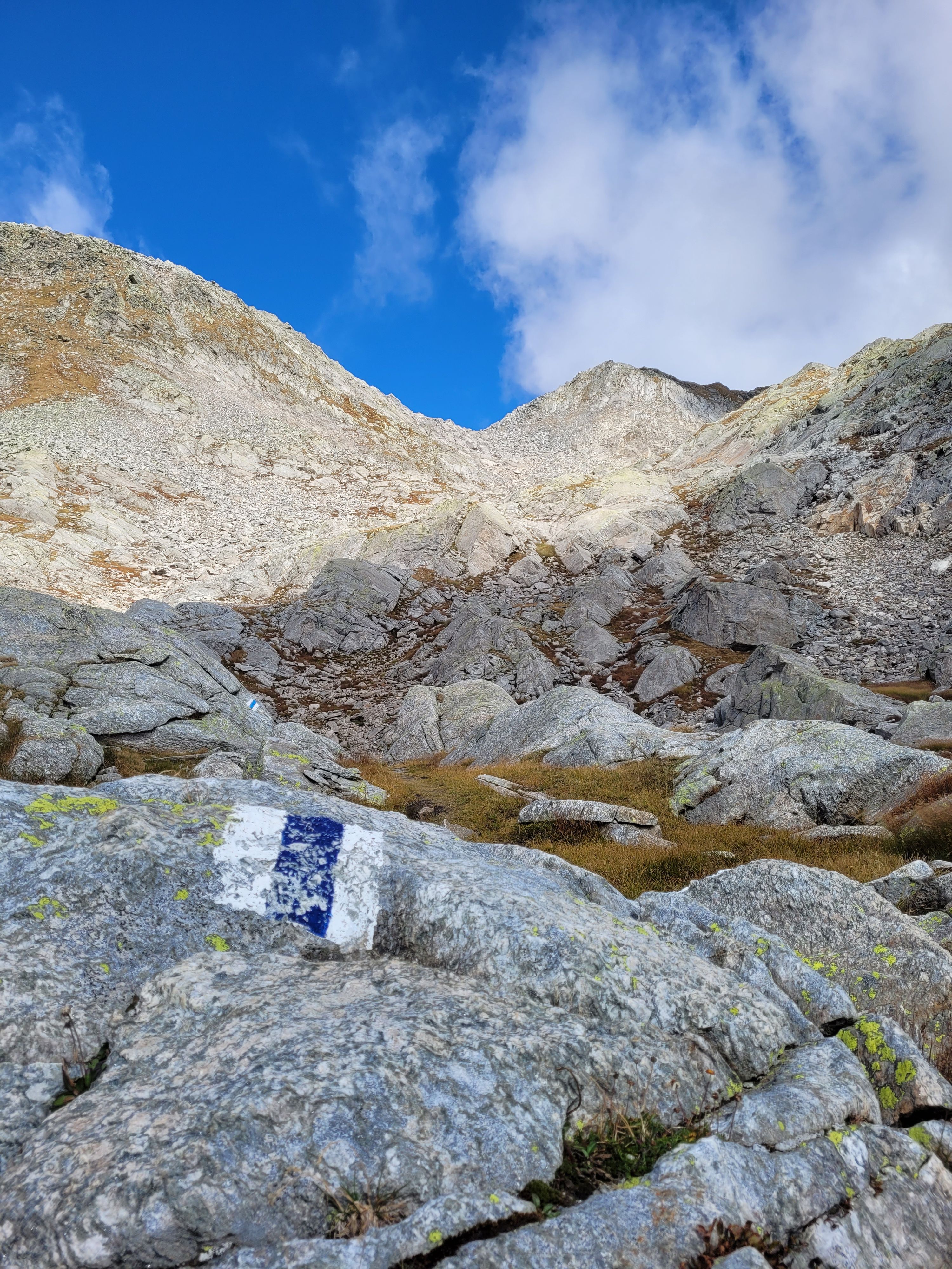 Marked alpine hiking trail with white-blue-white trail markers