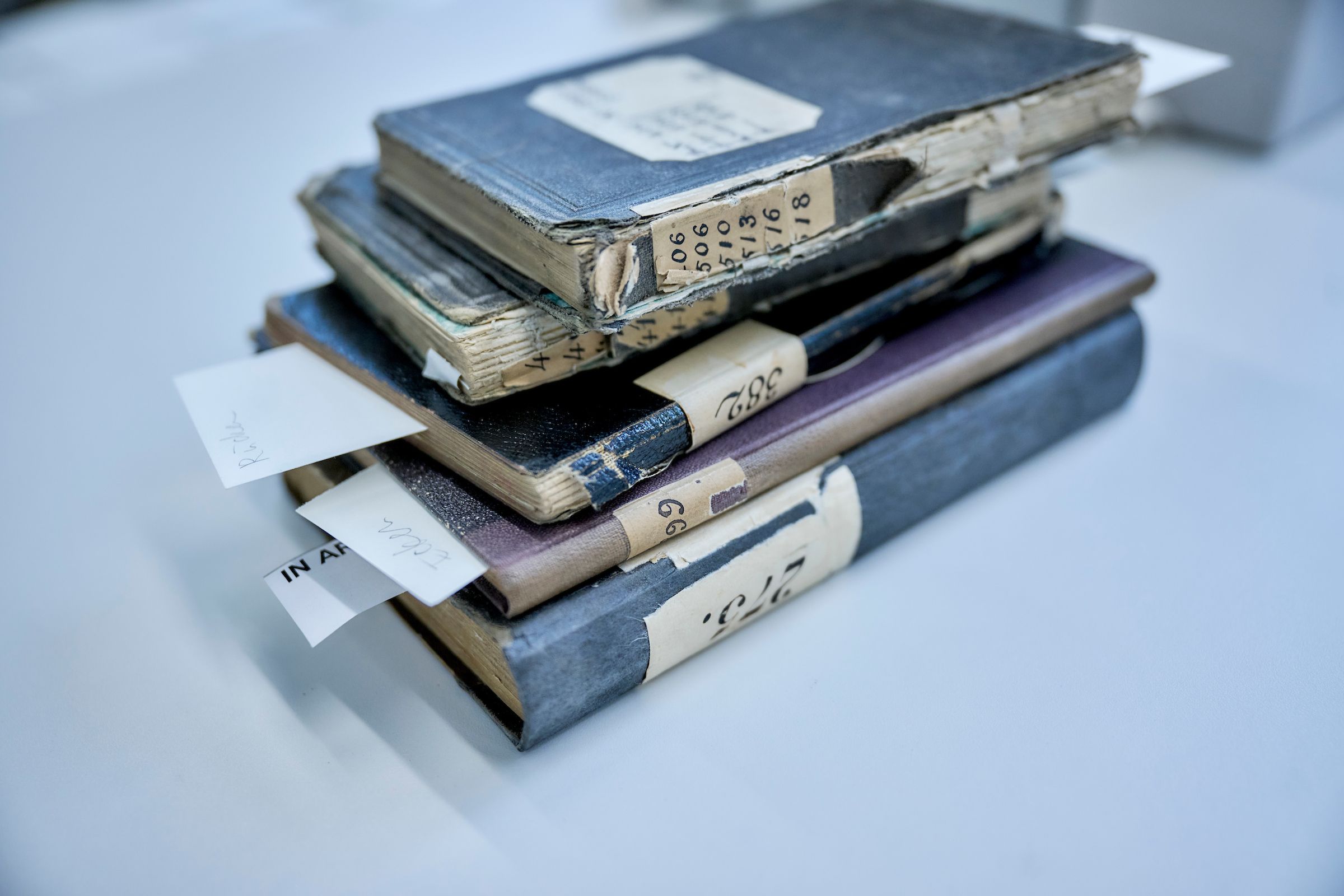 Freshly restored field booklet dry up.