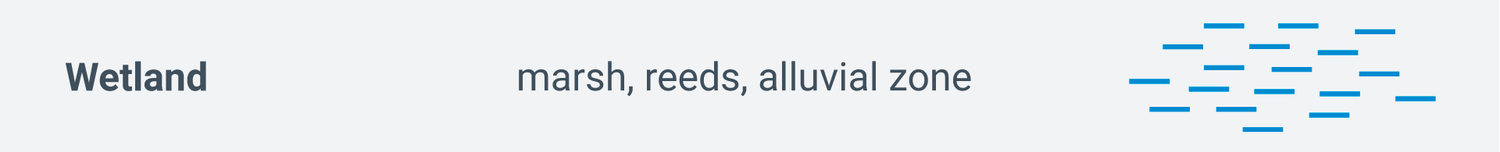Signature Wetland (marsh, reeds, alluvial zone)