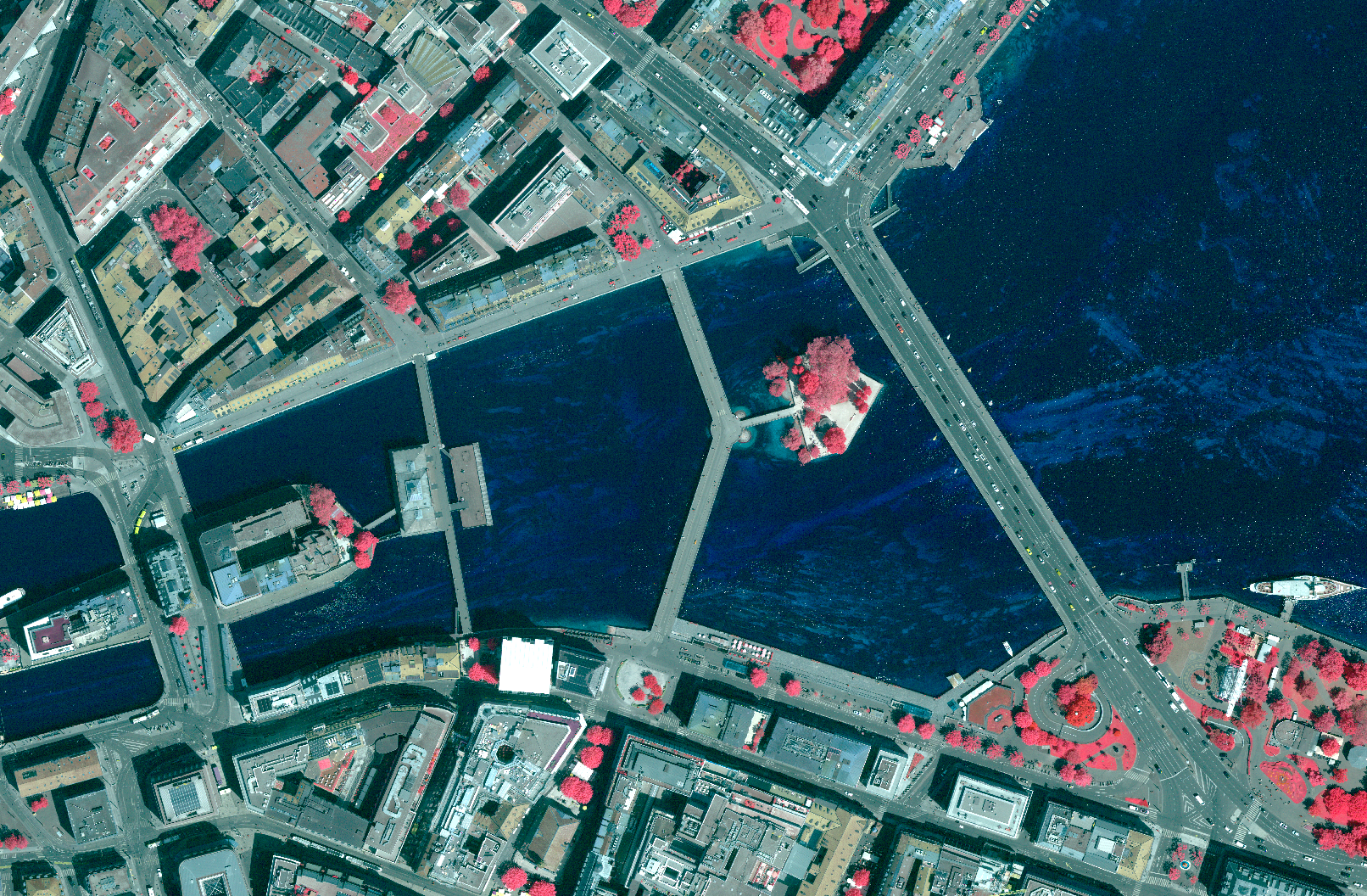 The picture shows an infrared aerial view of the Geneva area with the outflow of the Rhone and the island of Jean-Jacques Rousseau.