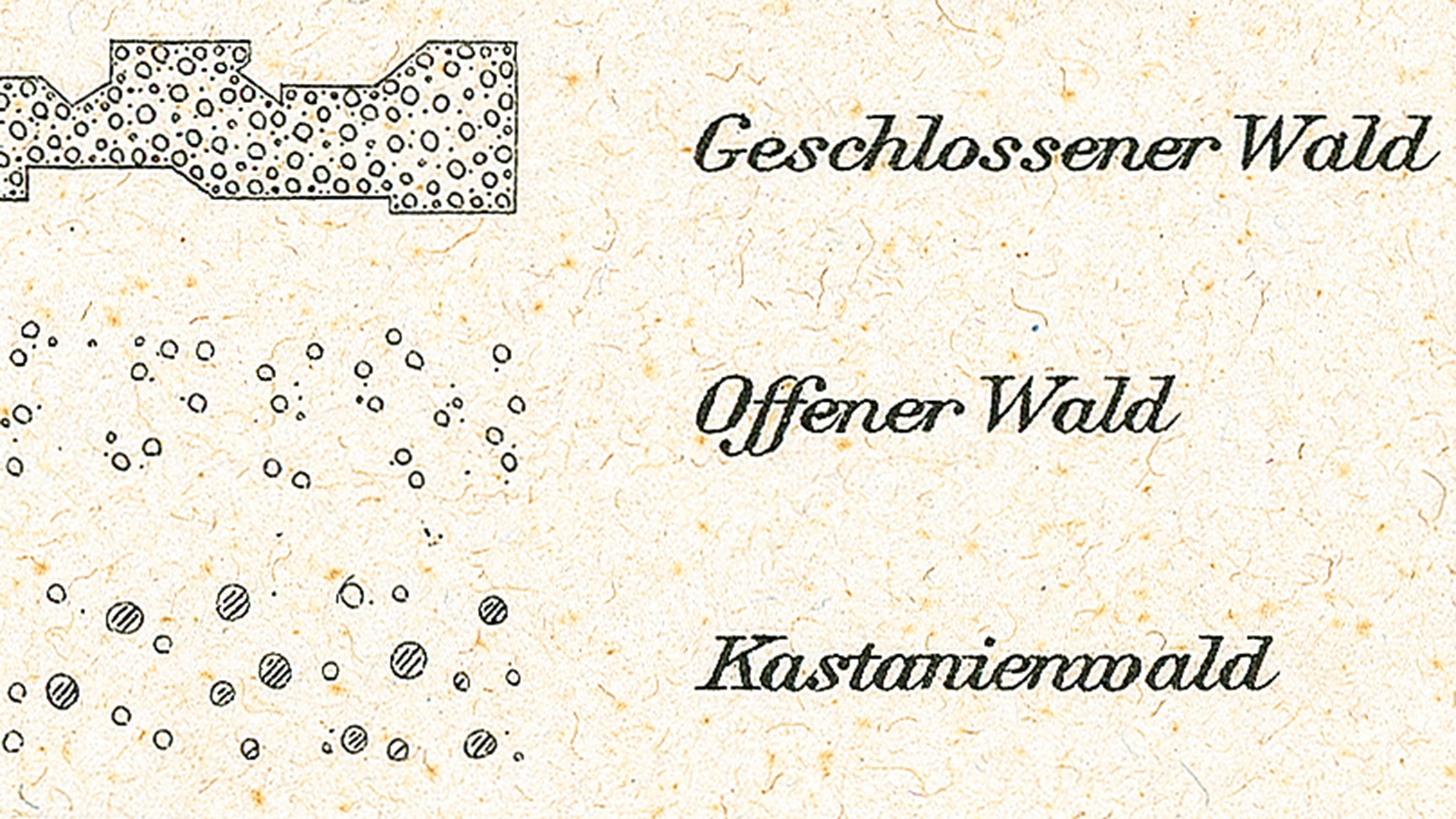 Excerpt from the explanation of signs on the Siegfried Map of 1922. In addition to the signatures "open forest" and "closed forest", there is also a signature for chestnut forest.