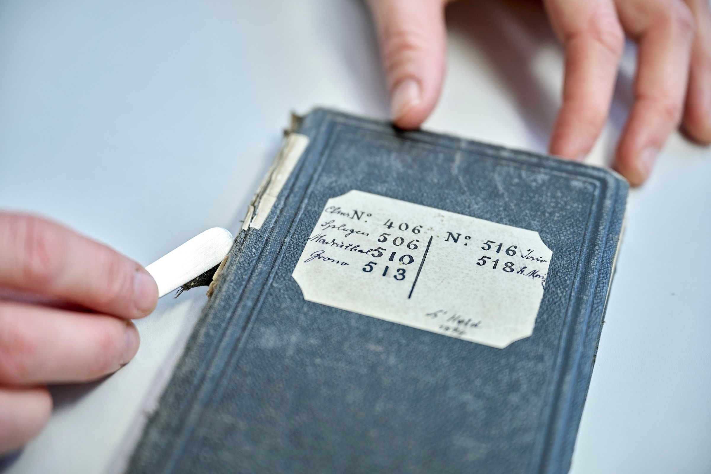 Lea Dauwalder restoring a field booklet