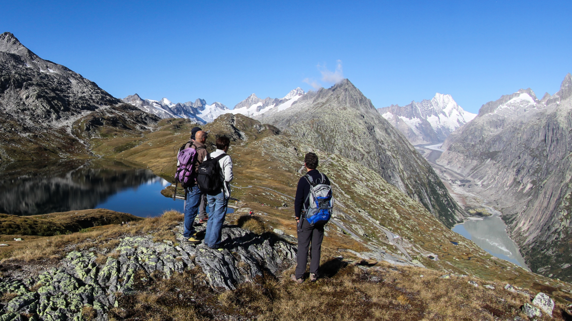 Geological excursion in the Grimsel area