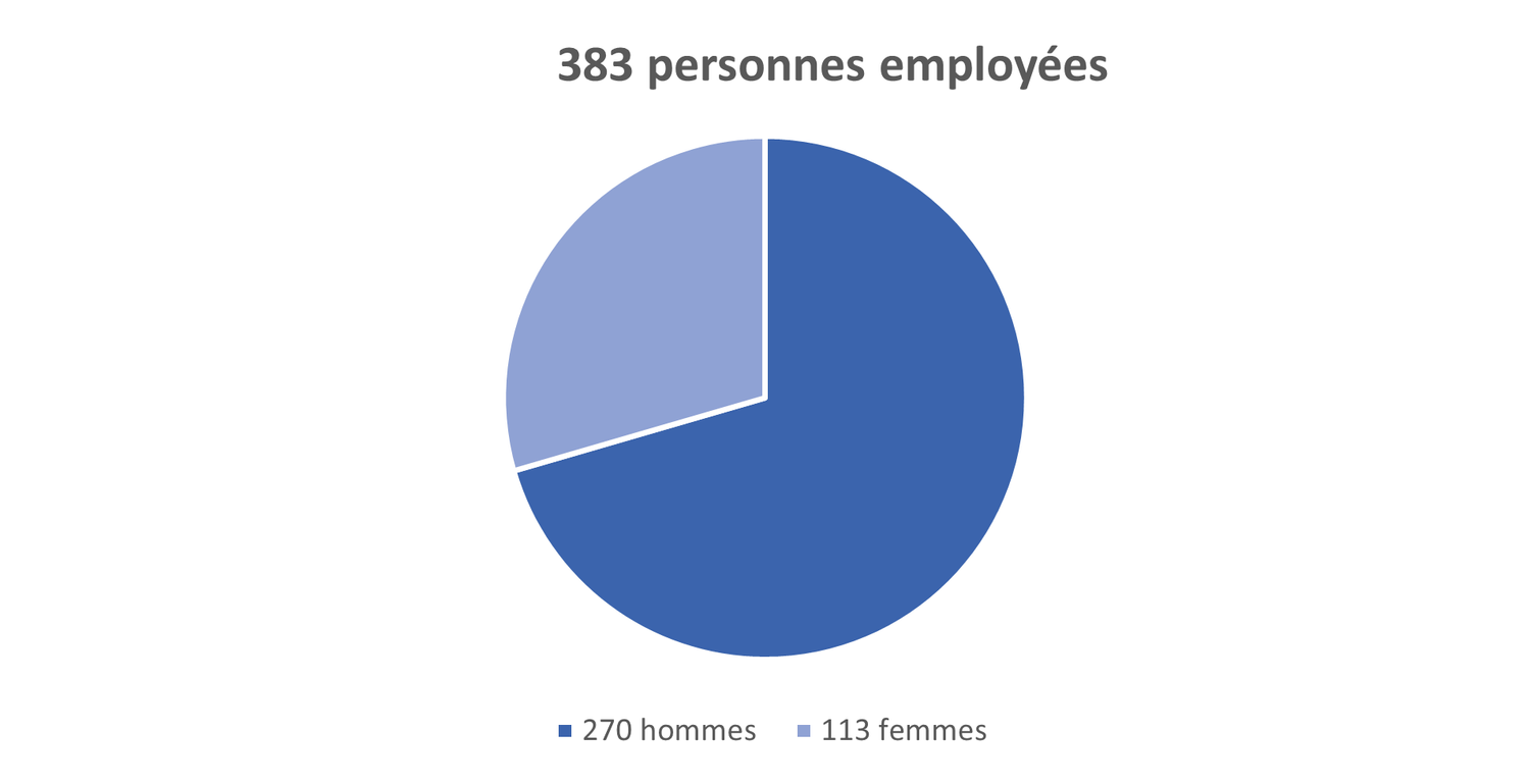 En 2023, 383 personnes travaillent chez swisstopo, dont 270 hommes et 113 femmes.