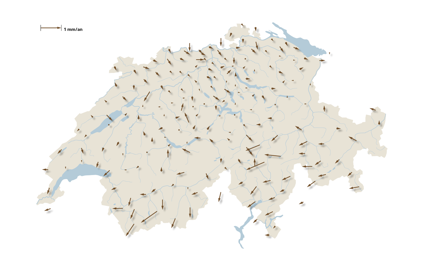 Plus les flèches sont longues, plus les déplacements sont importants.