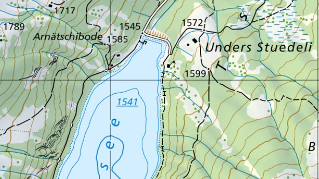 Carte du lac d'Arnon, région de Saanen