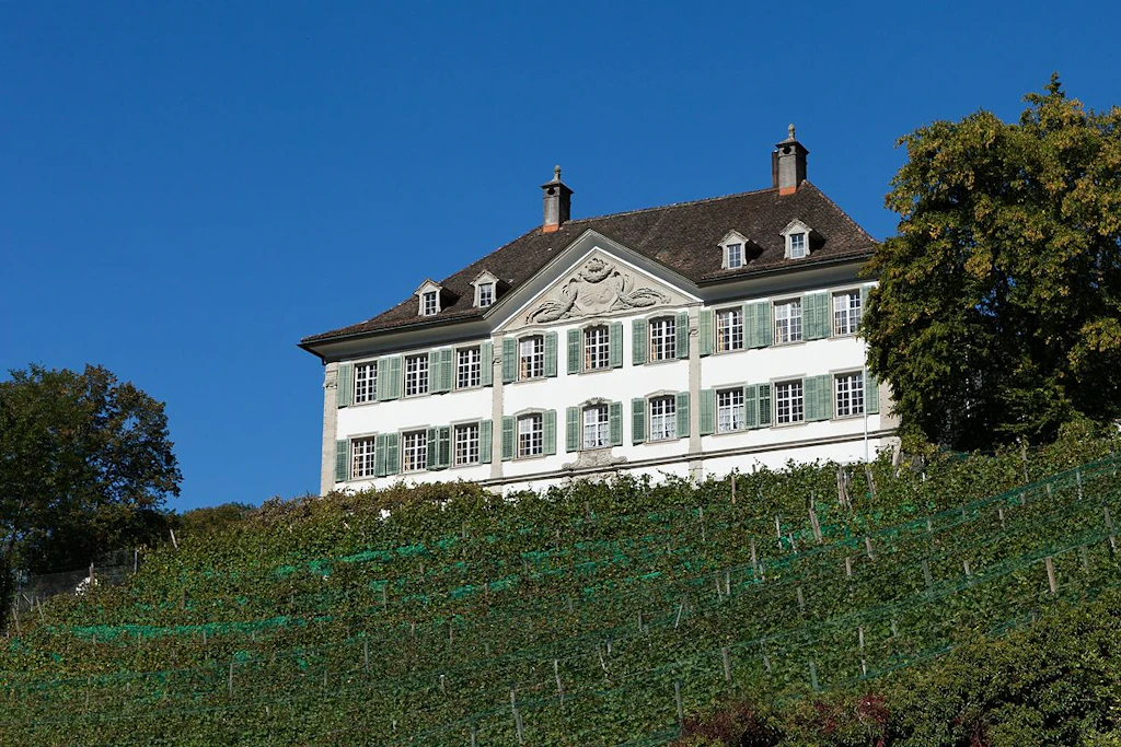 Grande demeure seigneuriale située en haut de la colline. En contrebas, un vignoble.