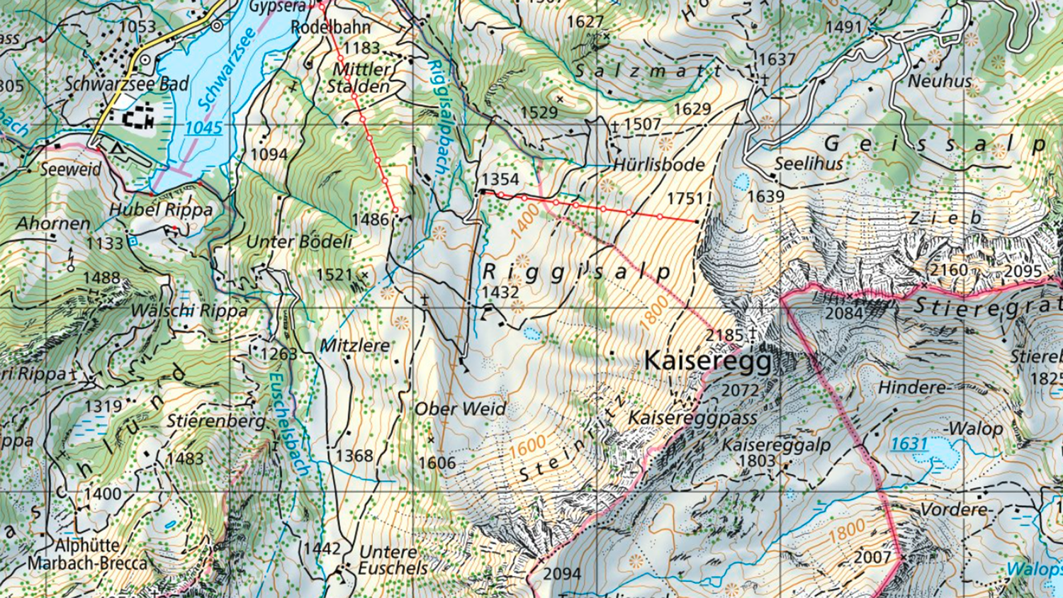 L'éctrait de la carte Kaiseregg montre clairement différentes courbes de niveau, zones forestières, arbres, pierriers 