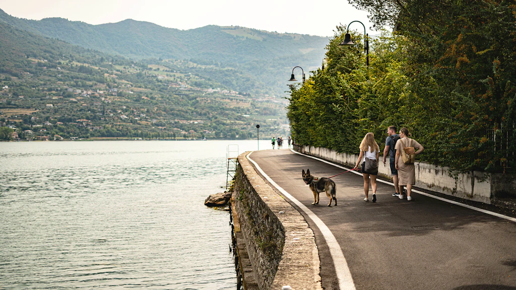 promenade avec le chien au bord de l'eau