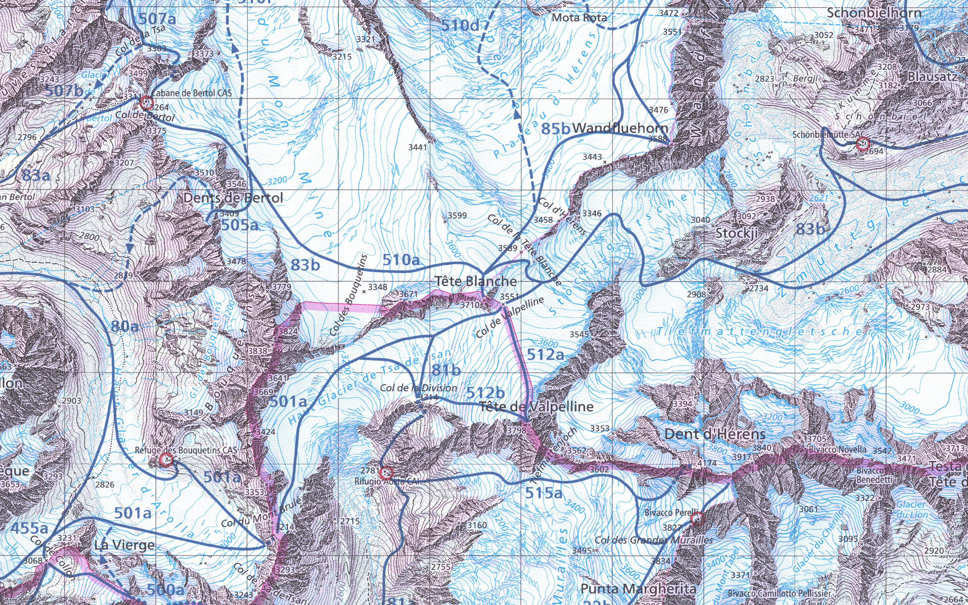 Extrait de la carte de randonnées à ski d'Arolla de 2019. Les itinéraires à ski sont indiqués par des lignes bleues et munis de numéros.