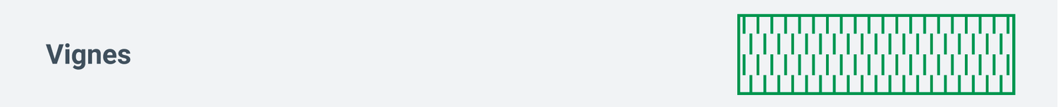 Signature Vignes