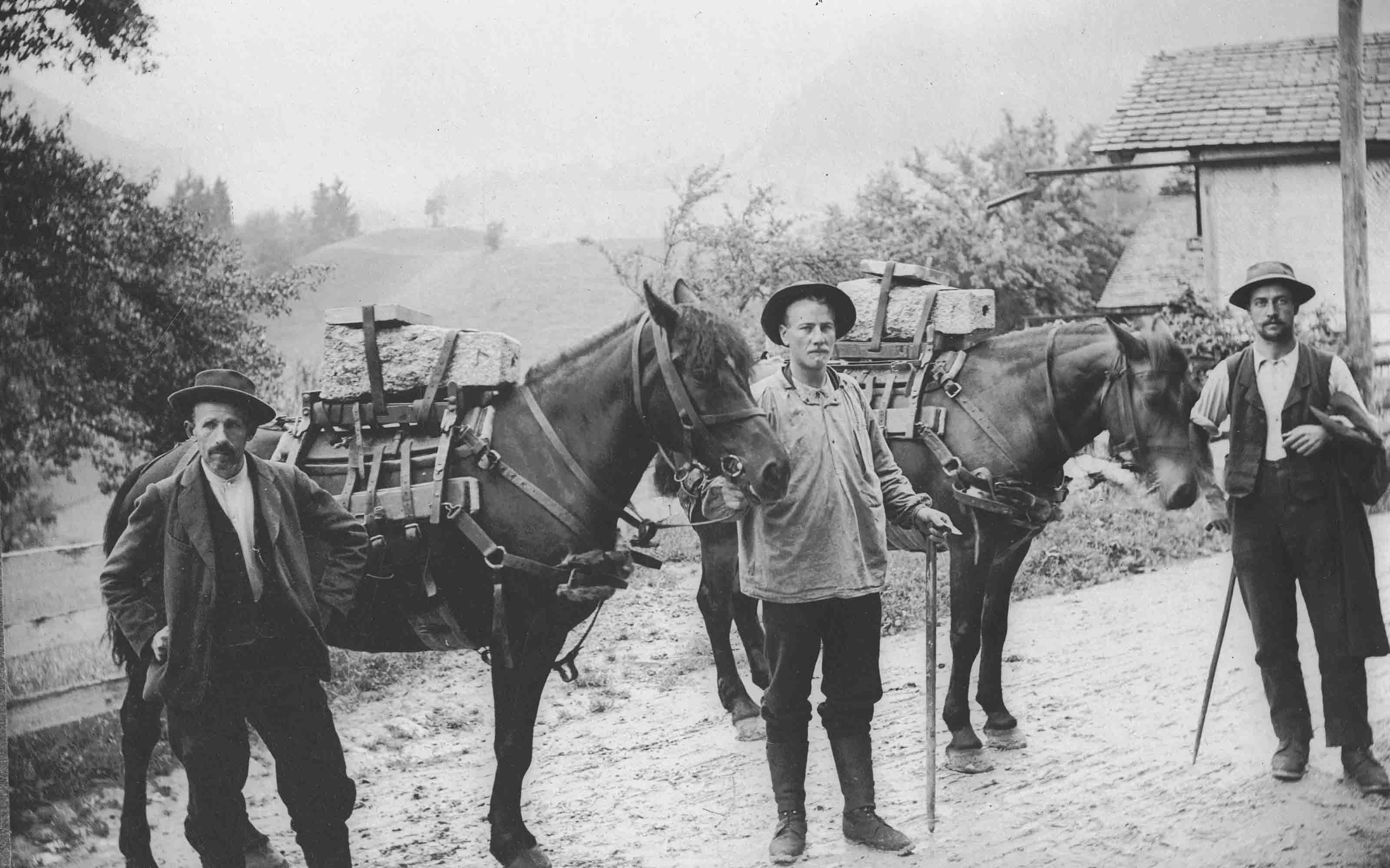 Trois hommes et deux chevaux. Les chevaux transportent de grosses pierres qui servent à l'assurance géodésique.
