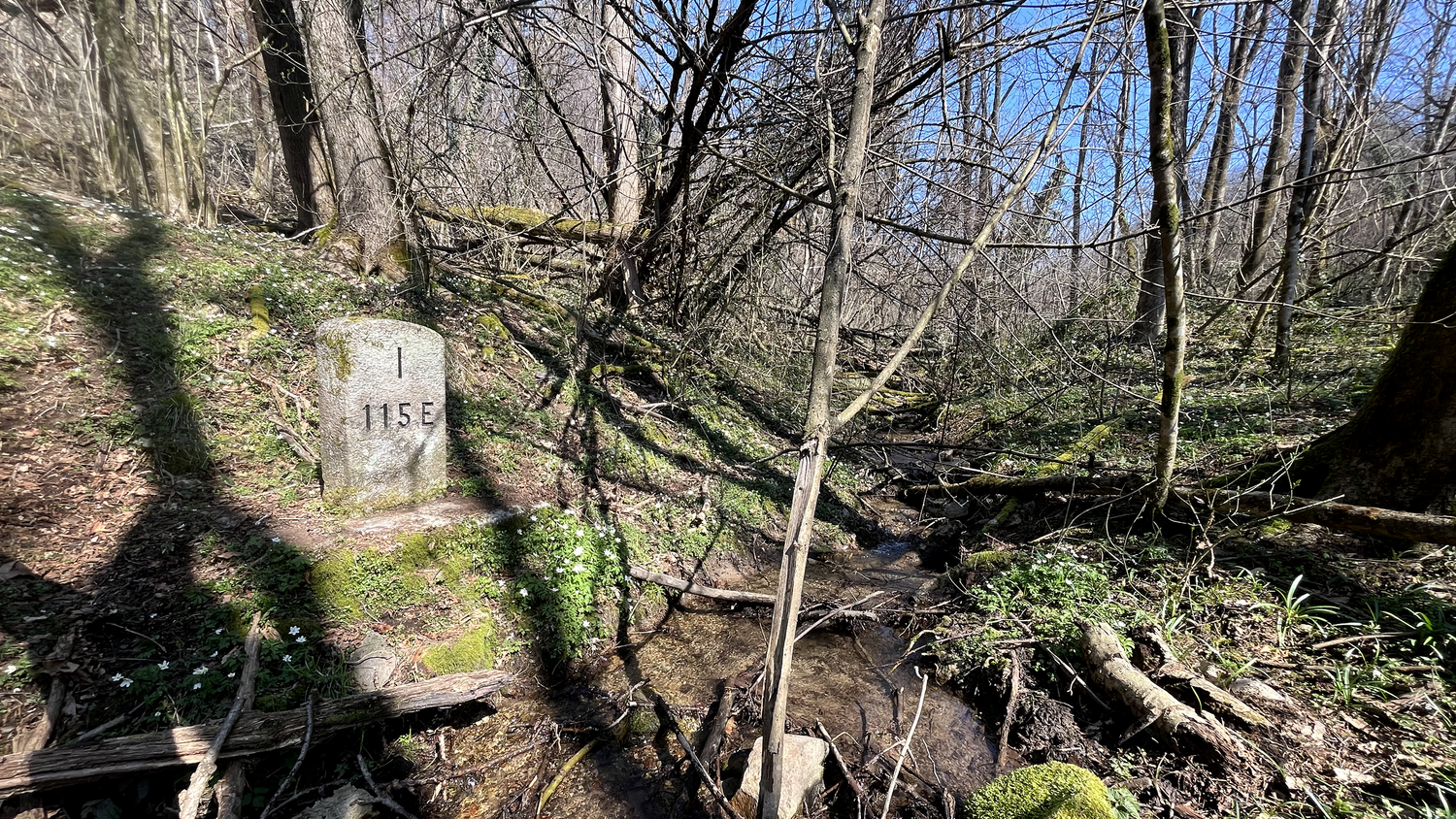 Une borne frontière dans la forêt