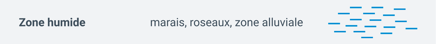Signature Zone humide (marais, roseaux, zone alluviale)