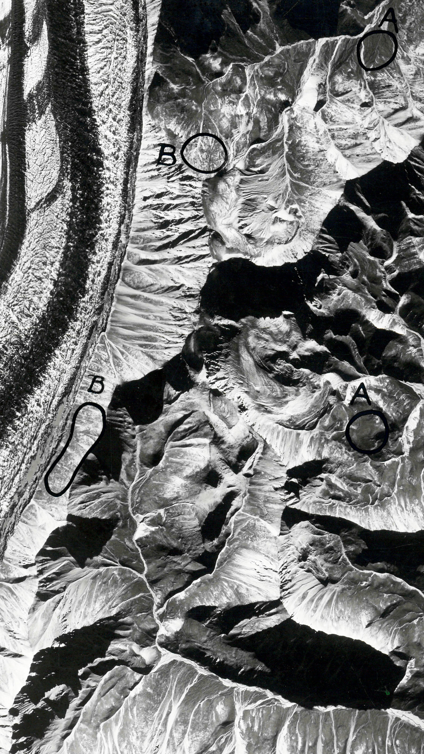 Extrait d'une photo aérienne McKinley, sur laquelle les différentes densités de végétation ont été entourées à la main.