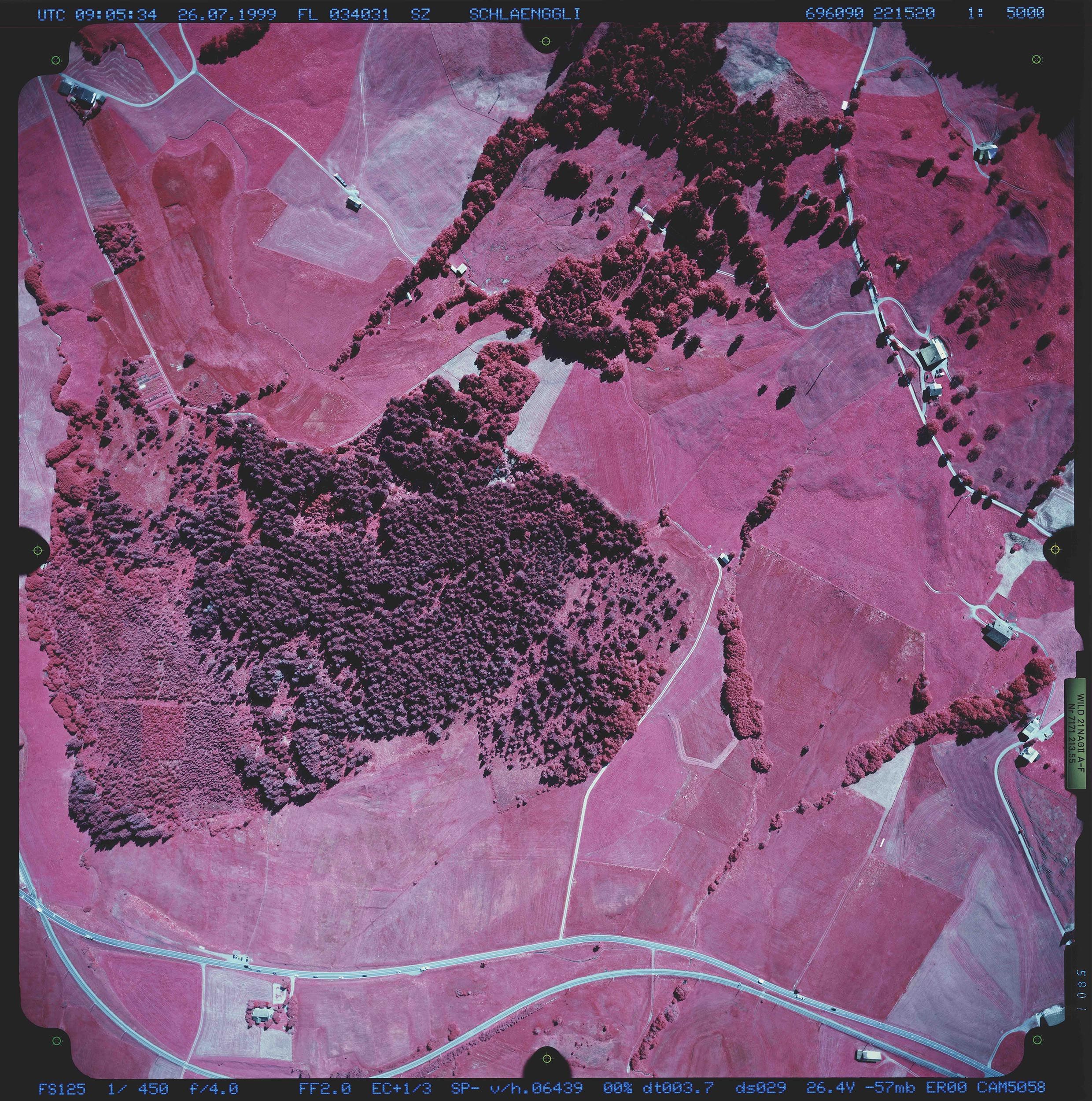 Photo infrarouge couleur