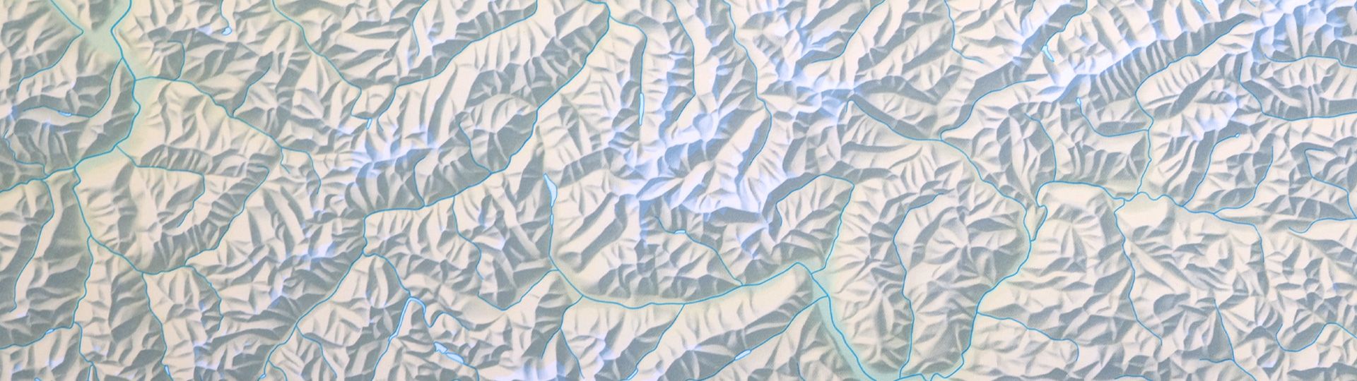Carte du relief des Alpes