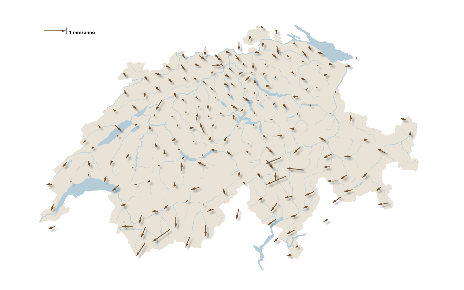 Più lunghe sono le frecce, maggiori sono gli spostamenti.