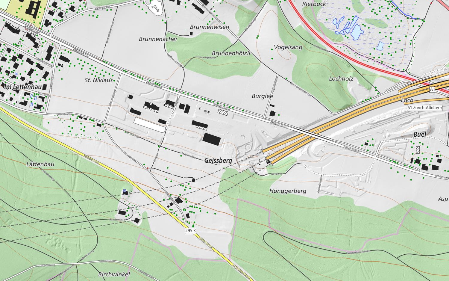 L'immagine mostra una sezione della mappa swissTLM nell'area del portale nord del tunnel Gubrist.