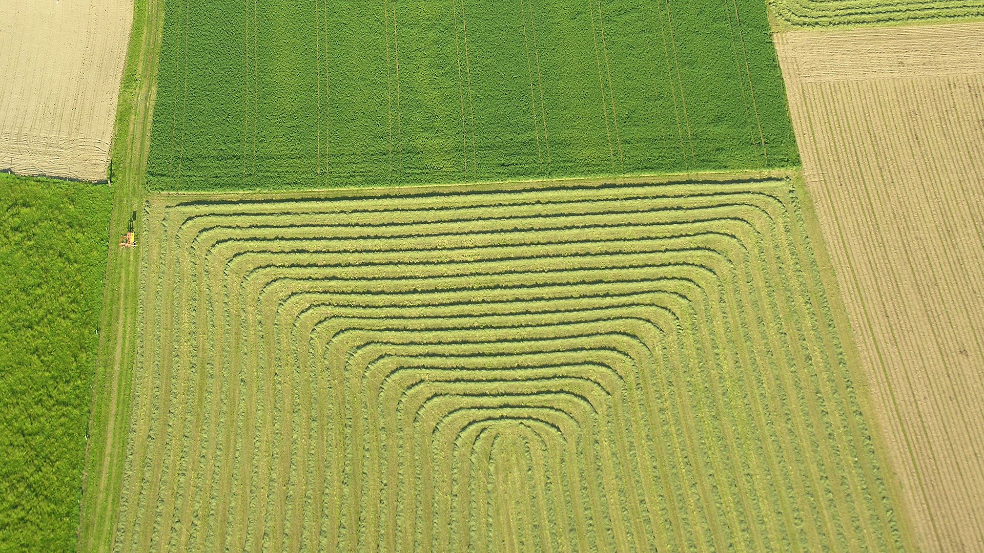Vista aerea di uno schema in un terreno coltivato. Aree verdi con erba e fieno, accanto a terreni agricoli.