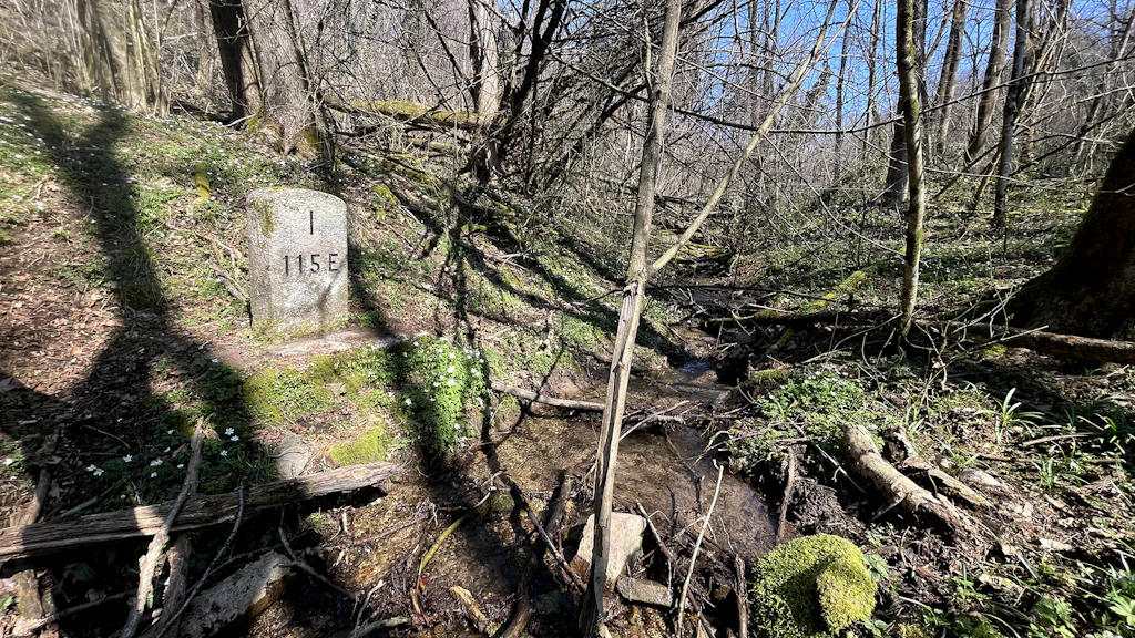 Un cippo di confine nel bosco