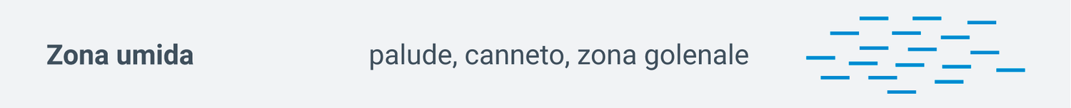 Firma Zona umida (palude, canneto, zona golenale)